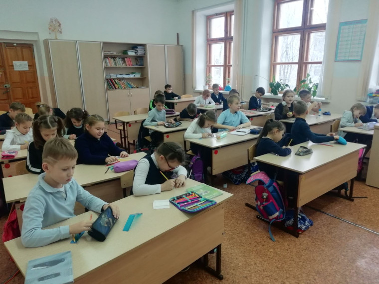 Экологический урок "Зимующие птицы".